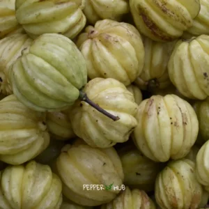 Pepperhub malabar tamarind 