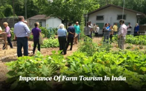 Importance Of Farm Tourism In India
