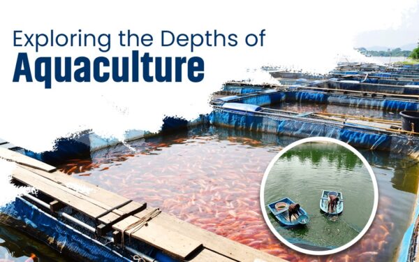 Exploring the Depths of Aquaculture