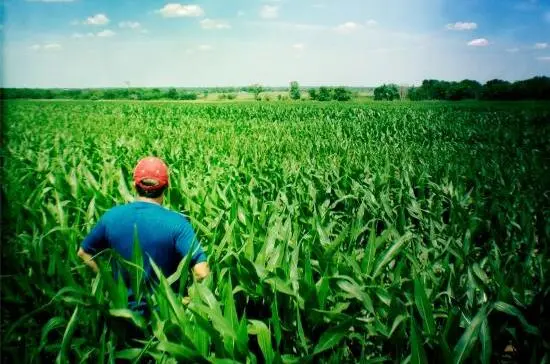 Weather-Based Crop Insurance