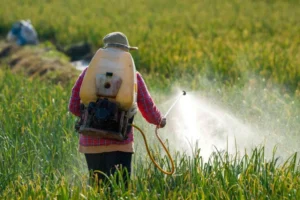 harmful effects of pesticides on crops