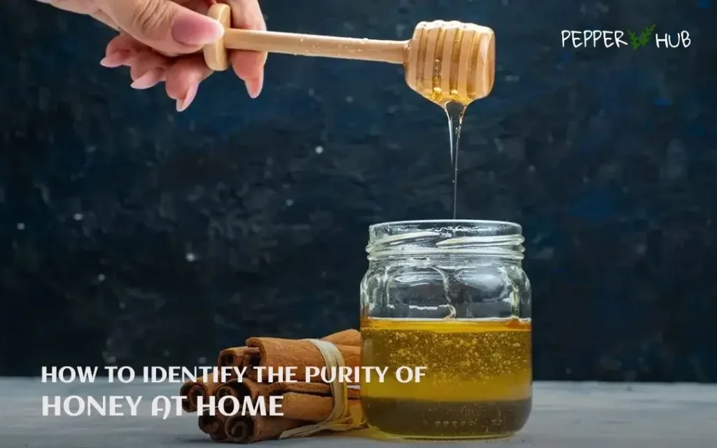 Common Seed Starting Problems And How To Fix Them