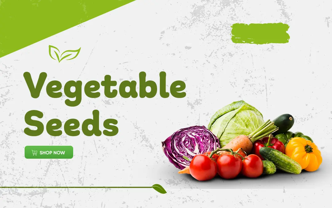 Vegetable Seeds Shop now