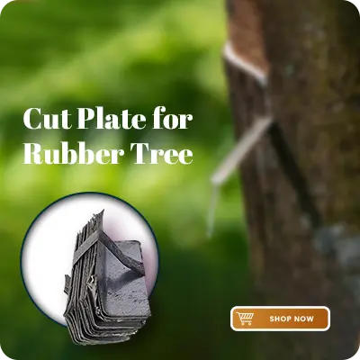 cut plates FOR RUBBER