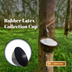 latex collection cup