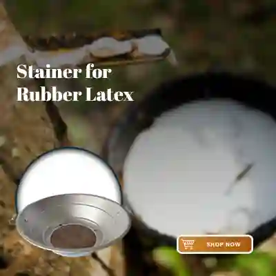 Stainer for rubber latex