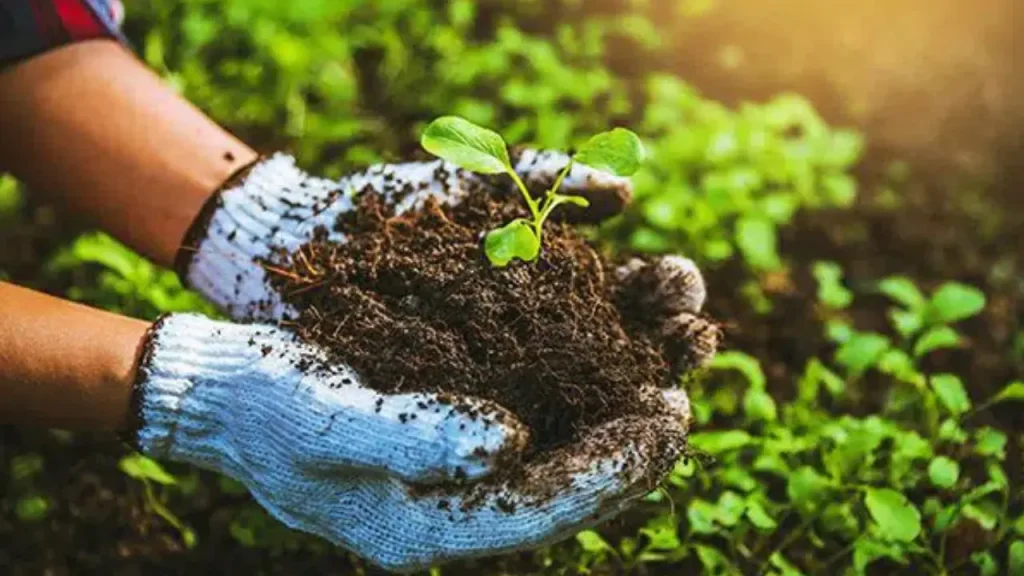 organicfertilizers