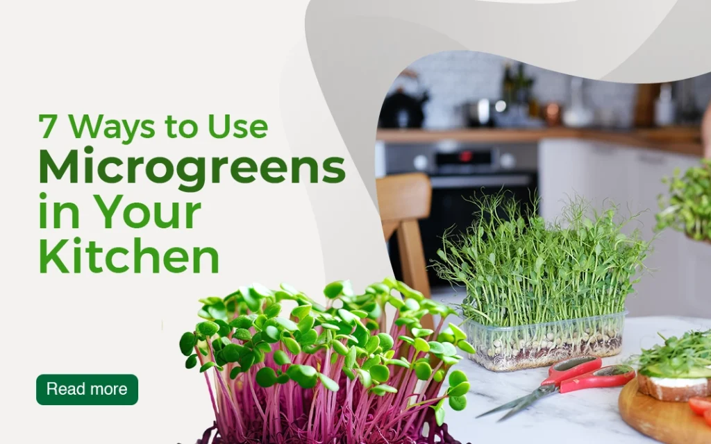 how to use microgreens