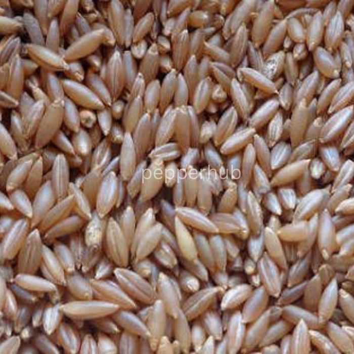 Nature  Bamboo Rice (Mulayari) (500 gm)