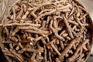 nannari root
