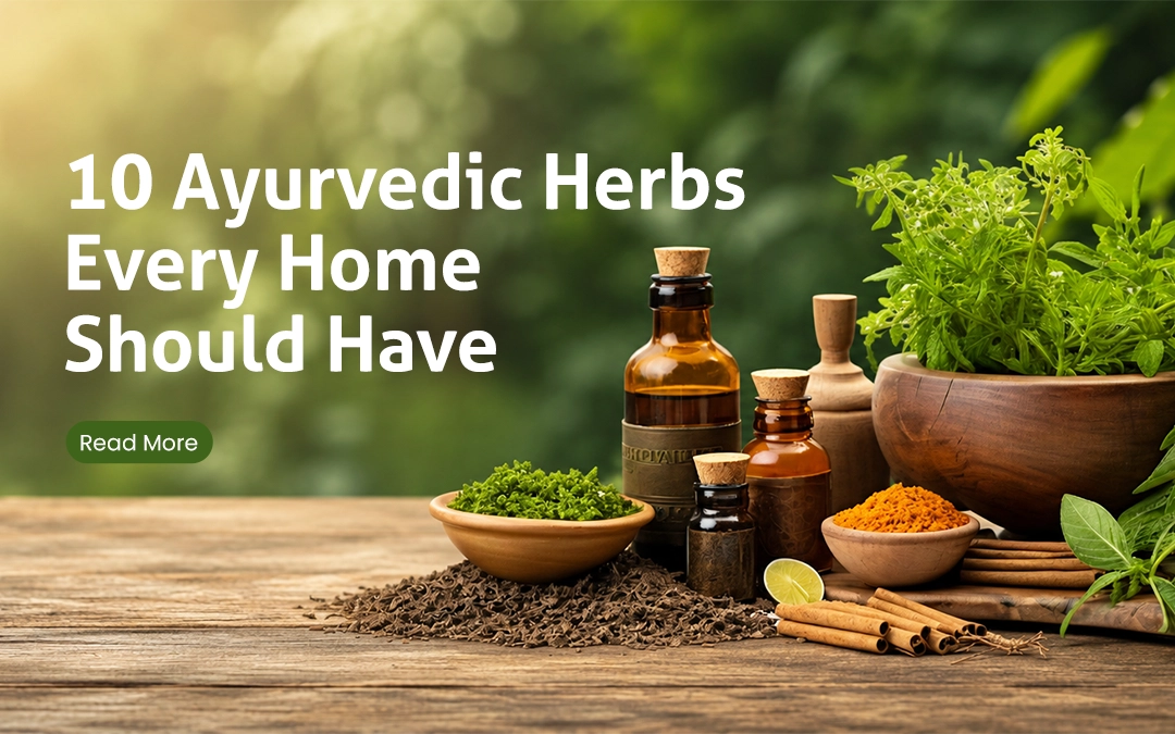 10 Ayurvedic Herbs Every Home Should Have